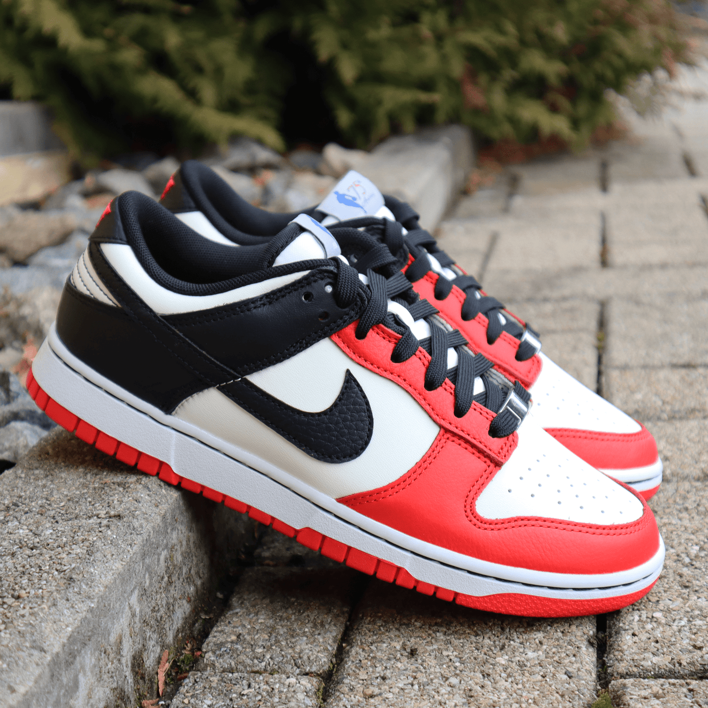 Nike Dunk Low EMB NBA 75th Anniversary Chicago - Spotlightz